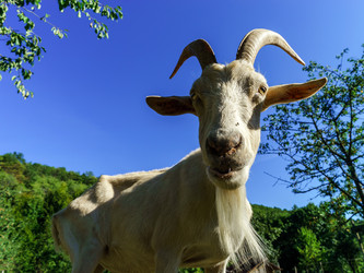 Similar image 10454367