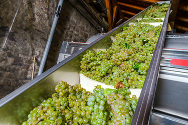 Similar image 10454369