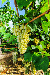 Similar image 10454373