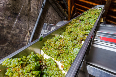 Similar image 10454375