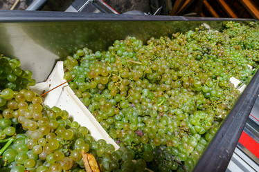 Similar image 10454377