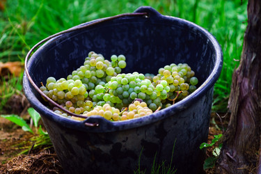 Similar image 10454380