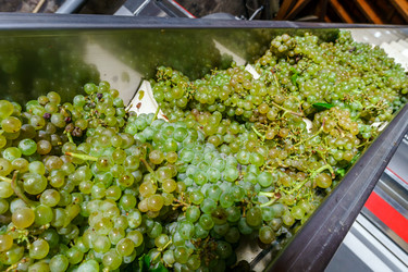 Similar image 10454382