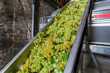 Similar image 10454383