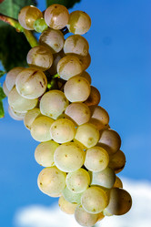 Similar image 10454384