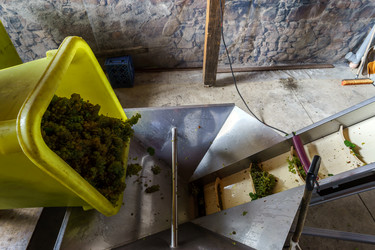 Similar image 10454385