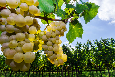 Similar image 10454386