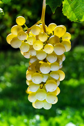 Similar image 10454388