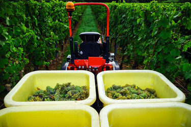 Similar image 10454393