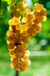 Similar image 10454390