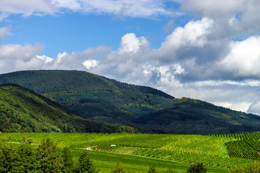 Similar image 10454391