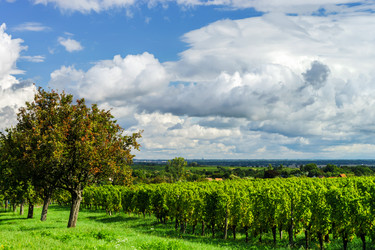 Similar image 10454394