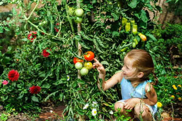 Similar image 10454428