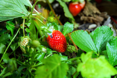 Similar image 10454432