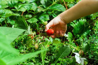 Similar image 10454433