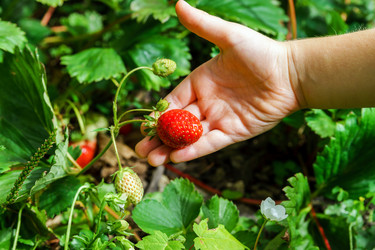 Similar image 10454434