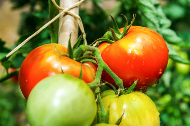 Similar image 10454447