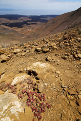 Similar image 10454487