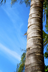 Similar image 10454498