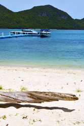 Similar image 10454509