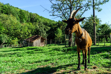 Similar image 10454526