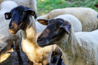 Similar image 10454531