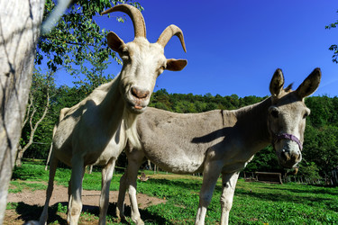 Similar image 10454534