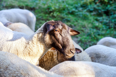 Similar image 10454542