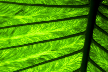 Similar image 10454554