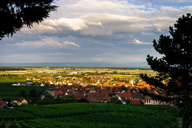 Similar image 10454615