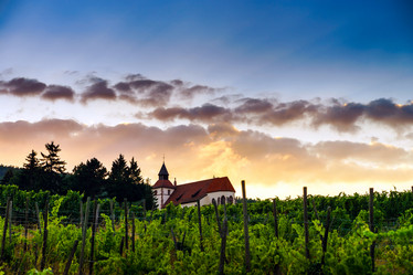 Similar image 10454621