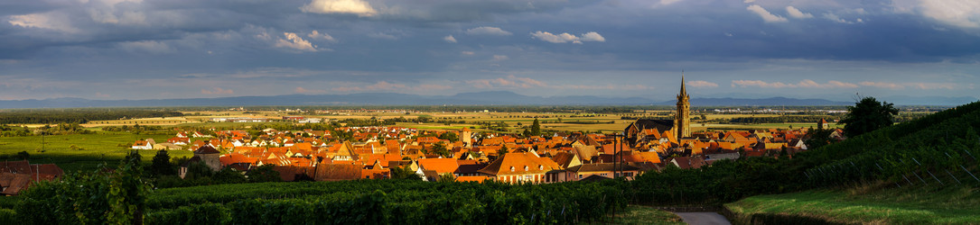 Similar image 10454627