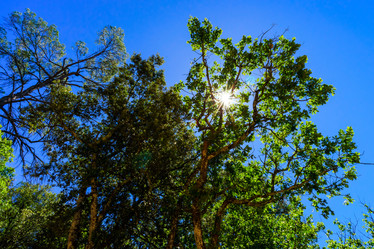 Similar image 10454646