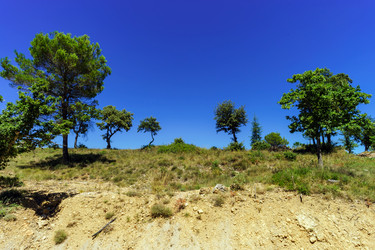 Similar image 10454647