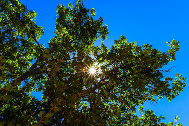 Similar image 10454650