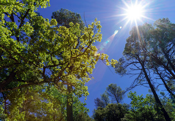 Similar image 10454651