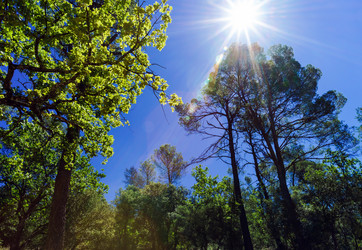 Similar image 10454652