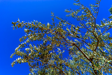 Similar image 10454655