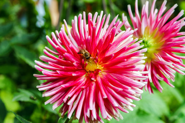 Similar image 10454665