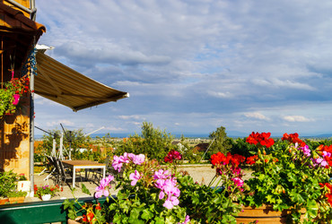 Similar image 10454666