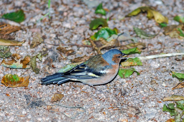 Similar image 10454670