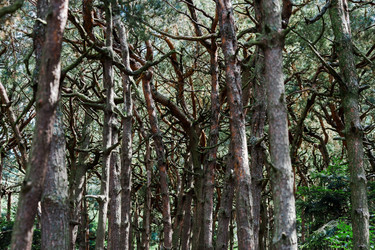 Similar image 10454673