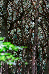 Similar image 10454675