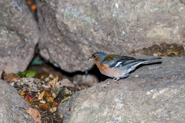 Similar image 10454677