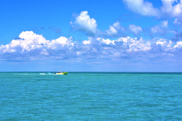 Similar image 10454702