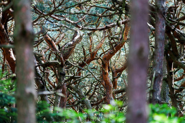 Similar image 10454707