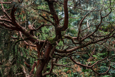 Similar image 10454713