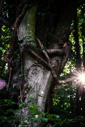 Similar image 10454714