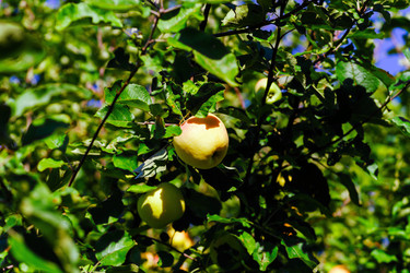 Similar image 10454718