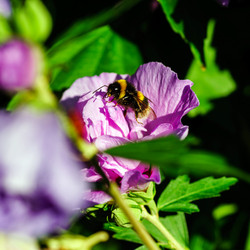 Similar image 10454719